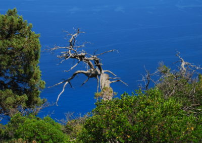 CALA MARIOLU 2