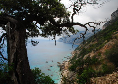 CALA MARIOLU 3