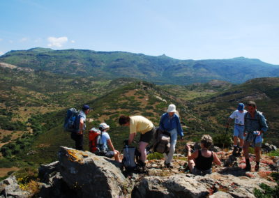 NELLE TERRE DI OSPITONE 3