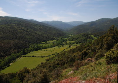 VALLE INCANTATA 1